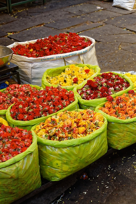 Mysore-Le marché-010
